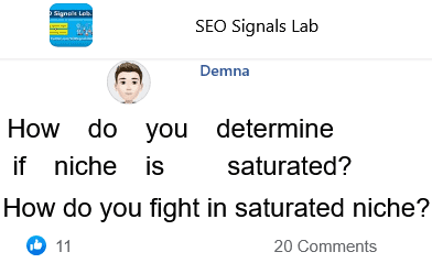 how do you fight in saturated niche with your websites against other websites