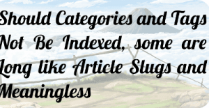 Should Categories and Tags Not Be Indexed, some are Long like Article Slugs and Meaningless?