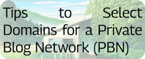 Tips to Select Domains for a Private Blog Network (PBN)