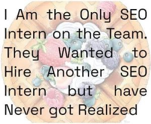 I Am the Only SEO Intern on the Team. They Wanted to Hire Another SEO Intern but have Never got Realized