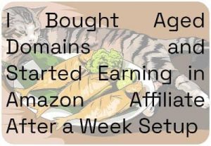 I Bought Aged Domains and Started Earning in Amazon Affiliate After a Week Setup