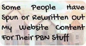 Some People Have Spun or Rewritten Out My Website Content For Their PBN Stuff
