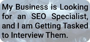 My Business is Looking for an SEO Specialist, and I am Getting Tasked to Interview Them